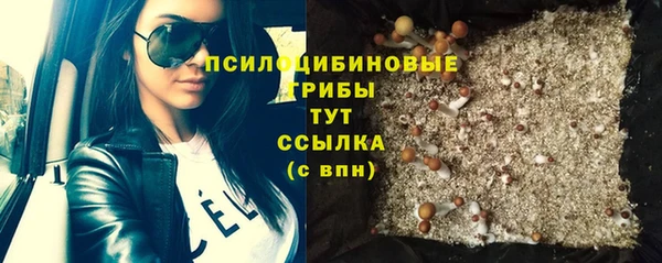 синтетический гашиш Горнозаводск
