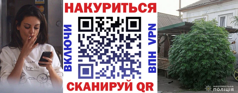 Купить Кудрово Конопля Amnesia